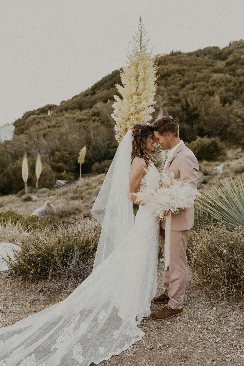 A bride and groom forehead to forehead on the hillside among yucca blooms